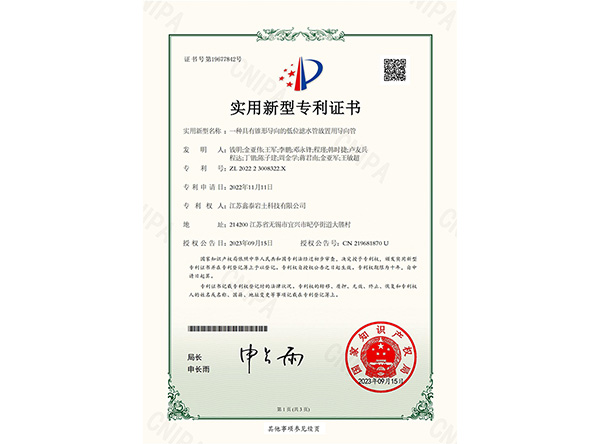 一種具有錐形導(dǎo)向的低位濾水管放置用導(dǎo)向管